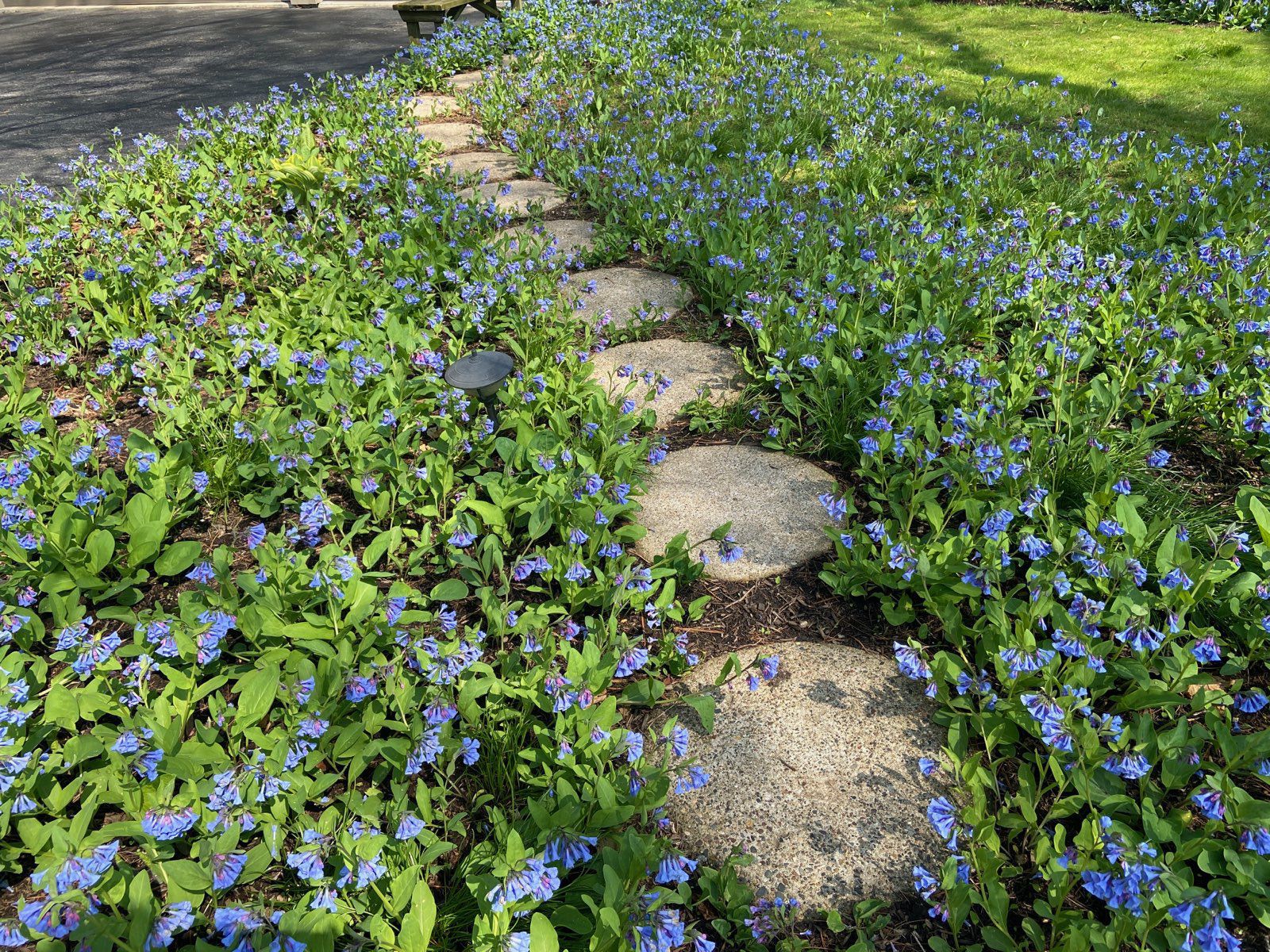 path